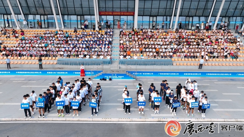 开幕仪式, 最好的水平